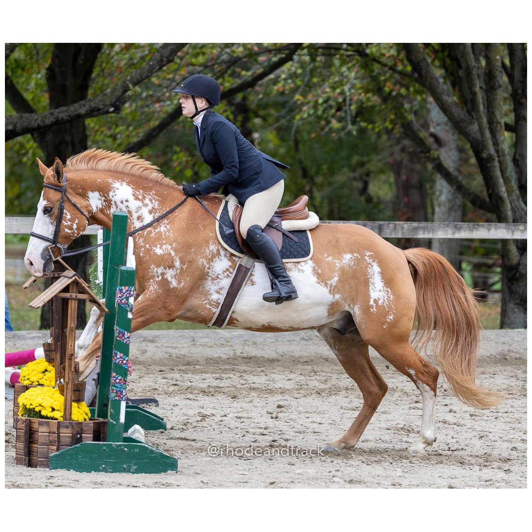 Interscholastic Equestrian Association - Prospect Hill Farm - North Smithfield, RI - September 29, 2024 title=