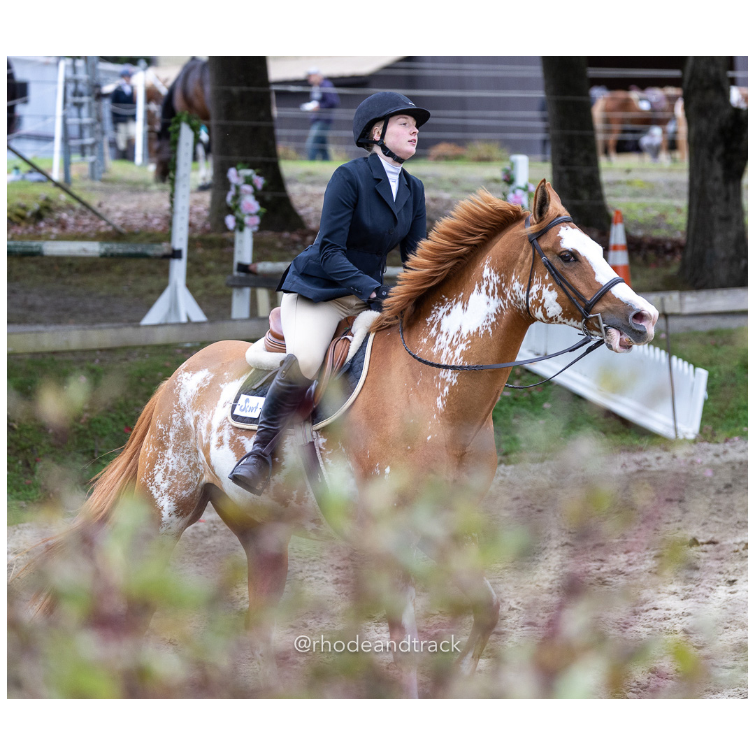 Interscholastic Equestrian Association - Prospect Hill Farm - North Smithfield, RI - September 29, 2024 title=