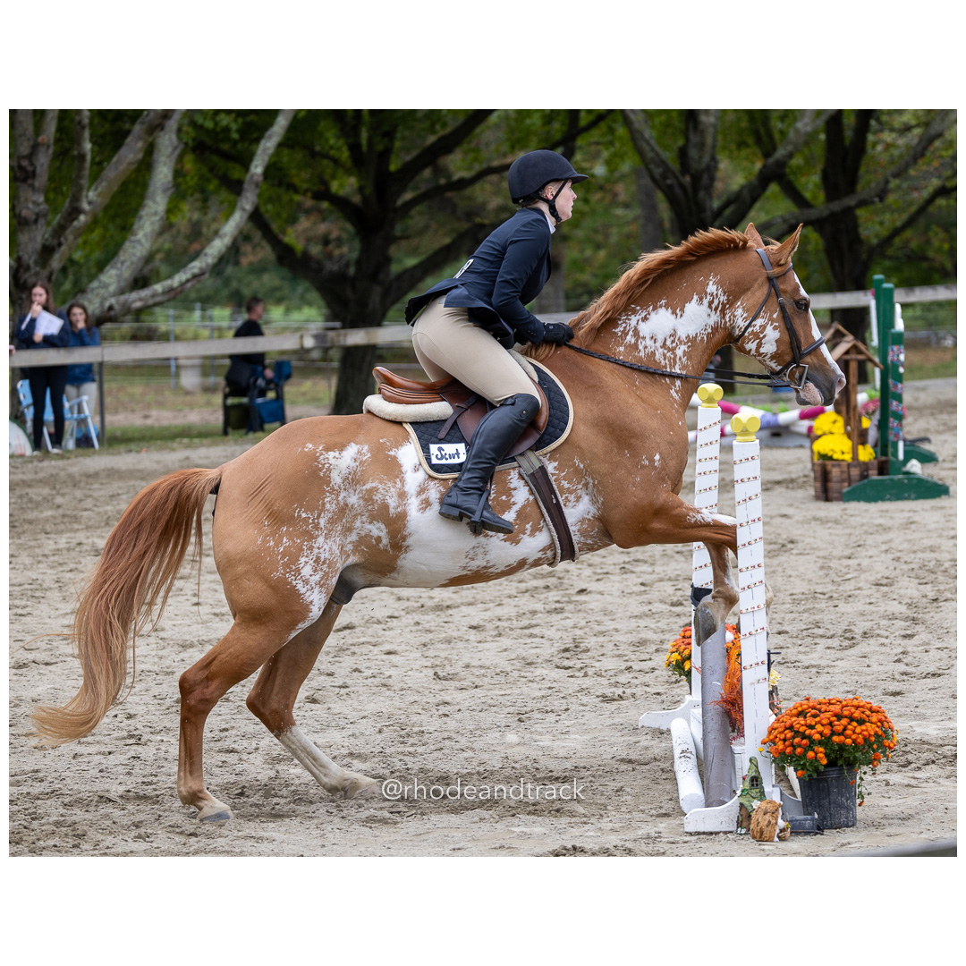 Interscholastic Equestrian Association - Prospect Hill Farm - North Smithfield, RI - September 29, 2024 title=