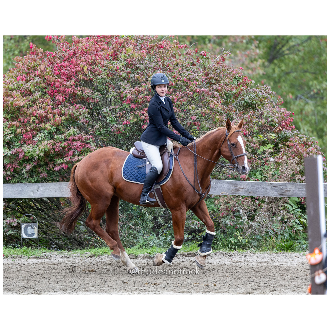 Interscholastic Equestrian Association - Prospect Hill Farm - North Smithfield, RI - September 29, 2024 title=