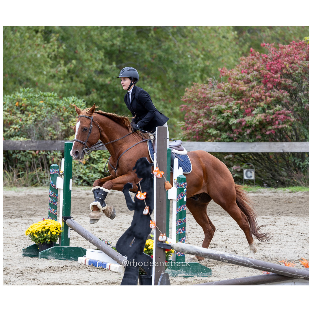 Interscholastic Equestrian Association - Prospect Hill Farm - North Smithfield, RI - September 29, 2024 title=