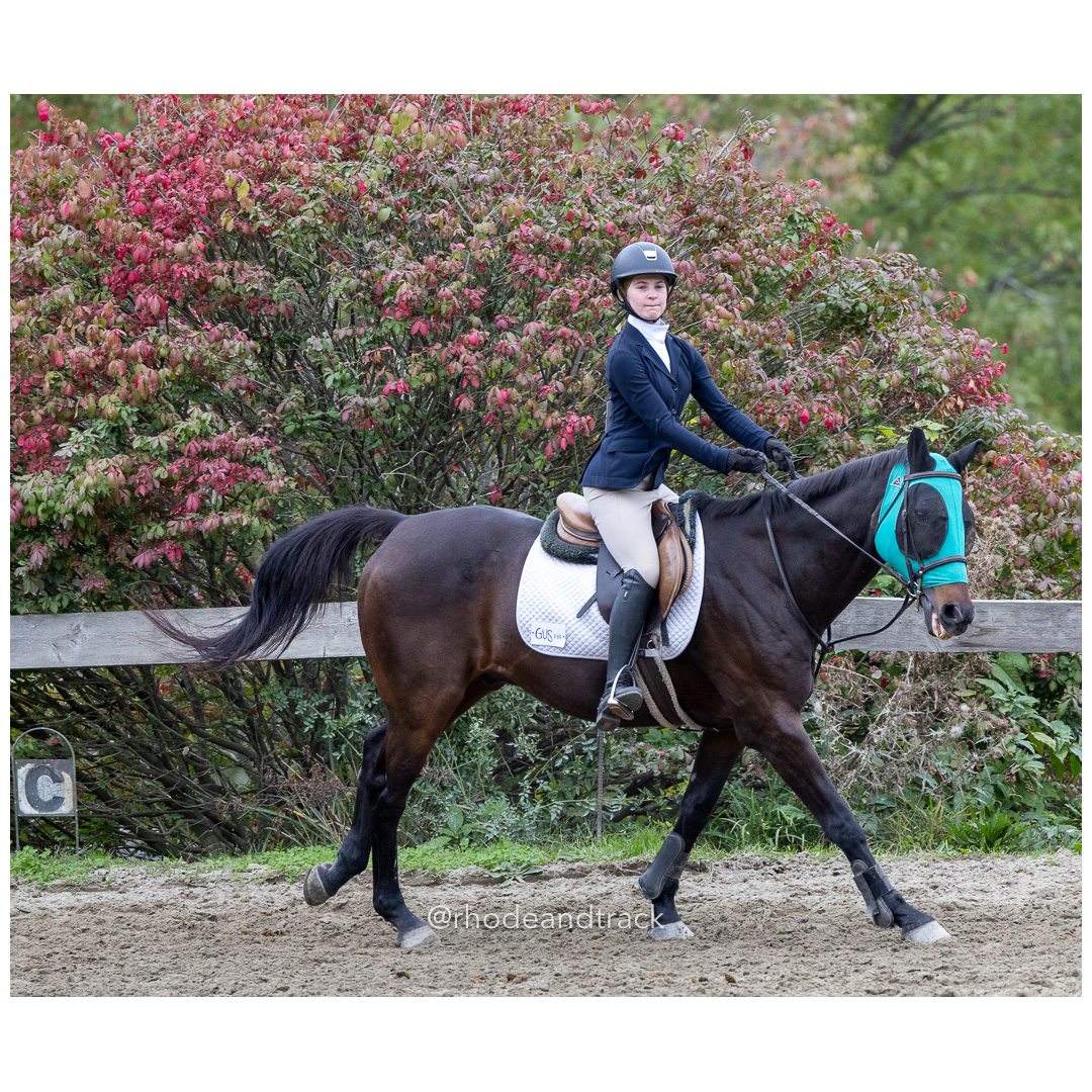 Interscholastic Equestrian Association - Prospect Hill Farm - North Smithfield, RI - September 29, 2024 title=