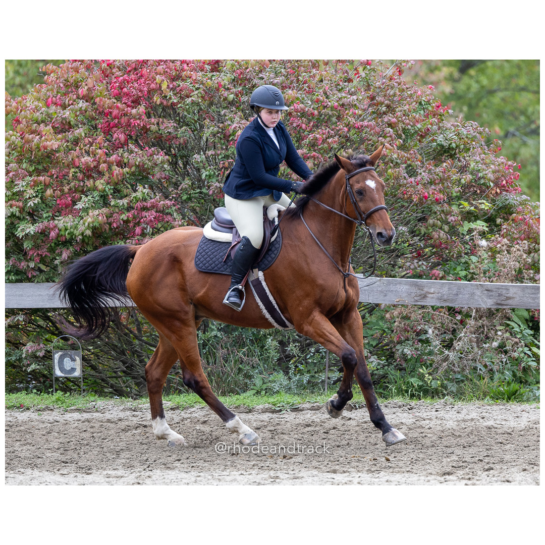Interscholastic Equestrian Association - Prospect Hill Farm - North Smithfield, RI - September 29, 2024 title=