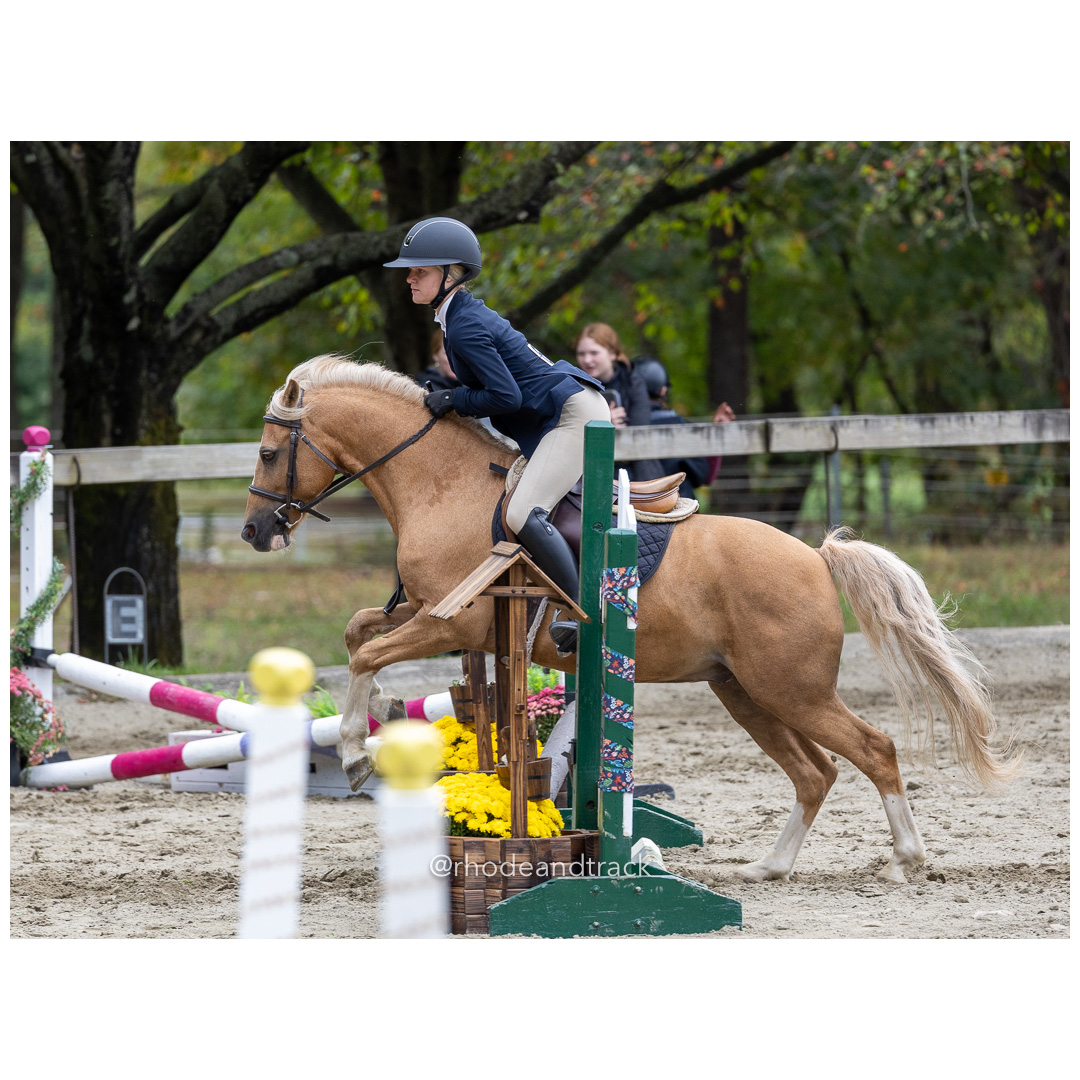 Interscholastic Equestrian Association - Prospect Hill Farm - North Smithfield, RI - September 29, 2024 title=