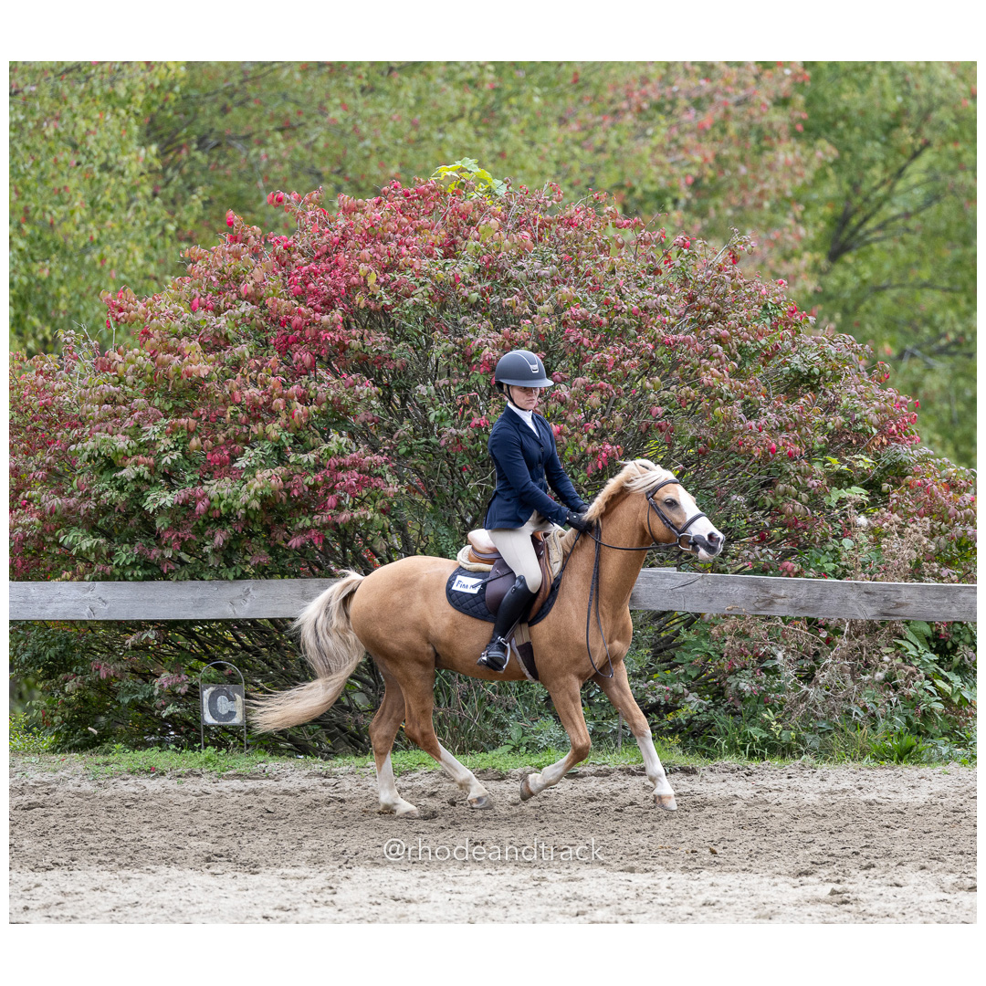 Interscholastic Equestrian Association - Prospect Hill Farm - North Smithfield, RI - September 29, 2024 title=