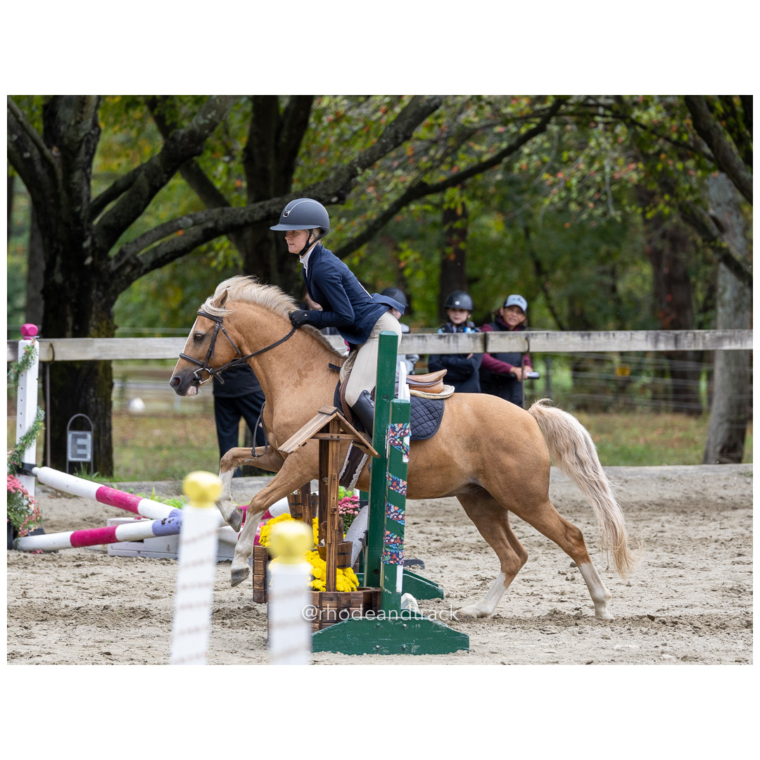 Interscholastic Equestrian Association - Prospect Hill Farm - North Smithfield, RI - September 29, 2024 title=