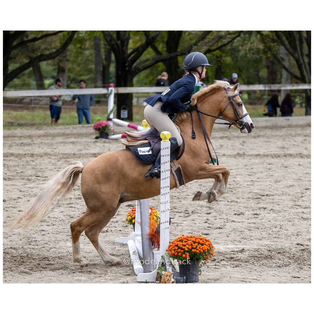 Interscholastic Equestrian Association - Prospect Hill Farm - North Smithfield, RI - September 29, 2024 title=