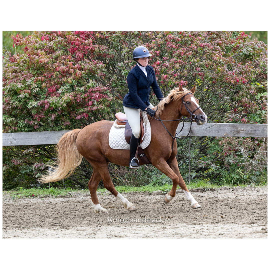Interscholastic Equestrian Association - Prospect Hill Farm - North Smithfield, RI - September 29, 2024 title=