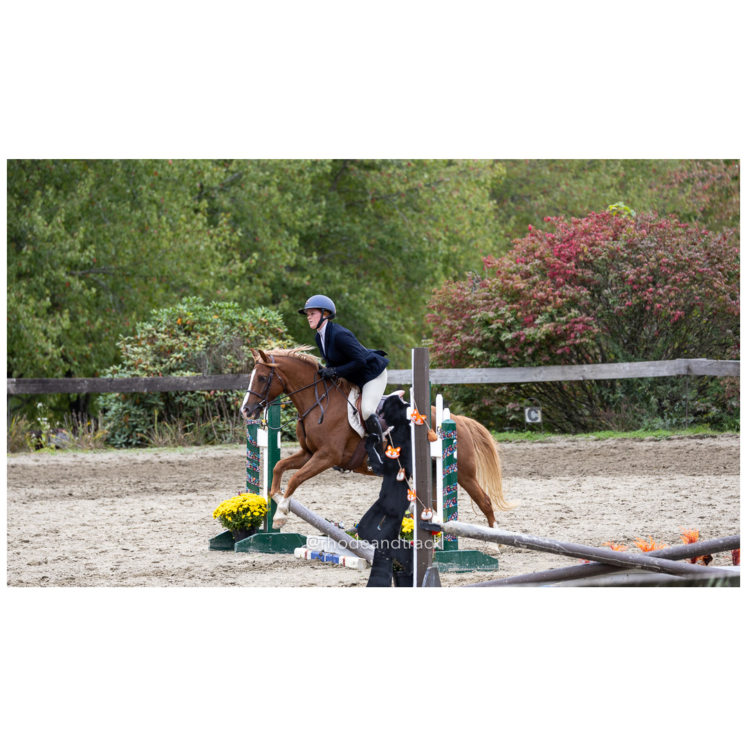Interscholastic Equestrian Association - Prospect Hill Farm - North Smithfield, RI - September 29, 2024 title=