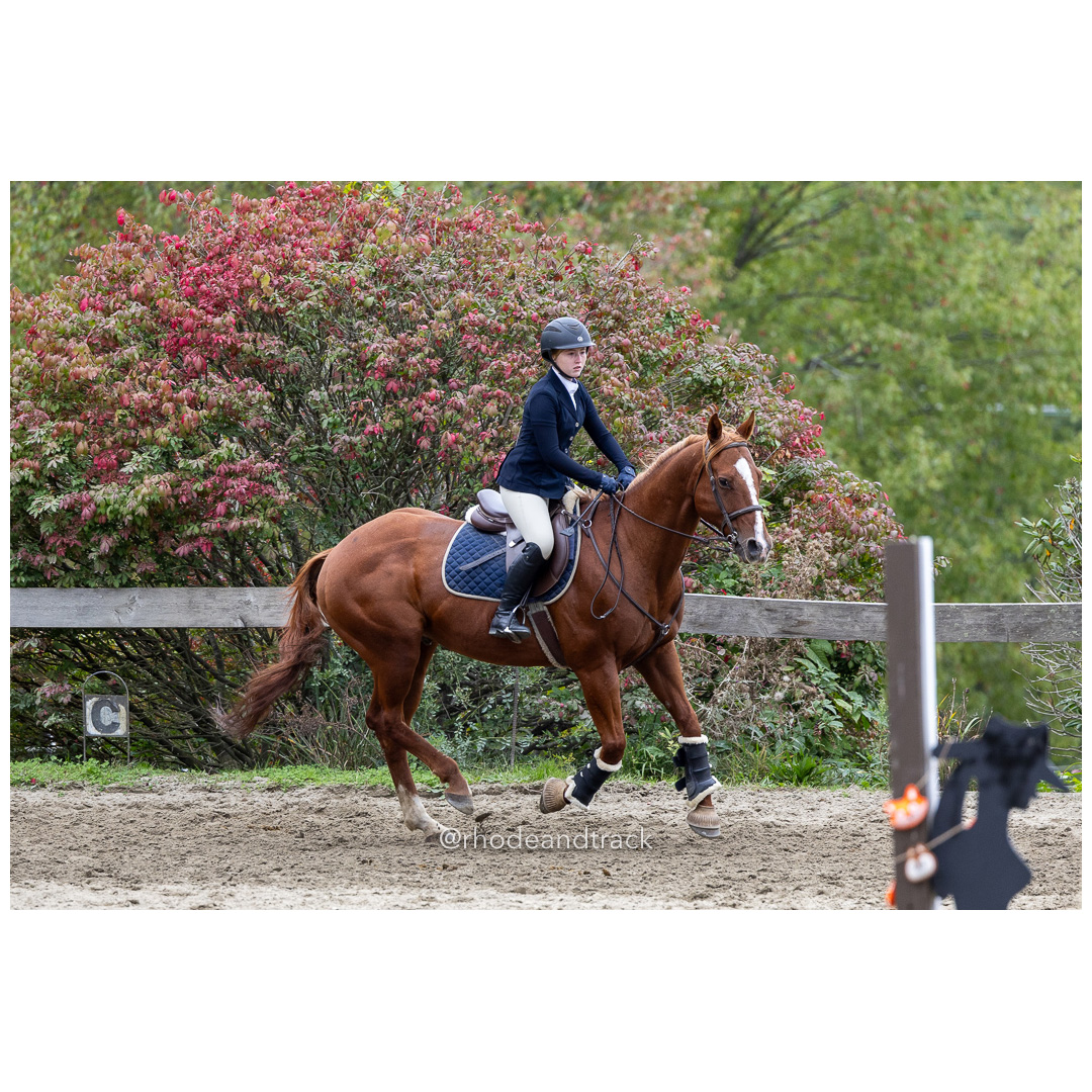 Interscholastic Equestrian Association - Prospect Hill Farm - North Smithfield, RI - September 29, 2024 title=