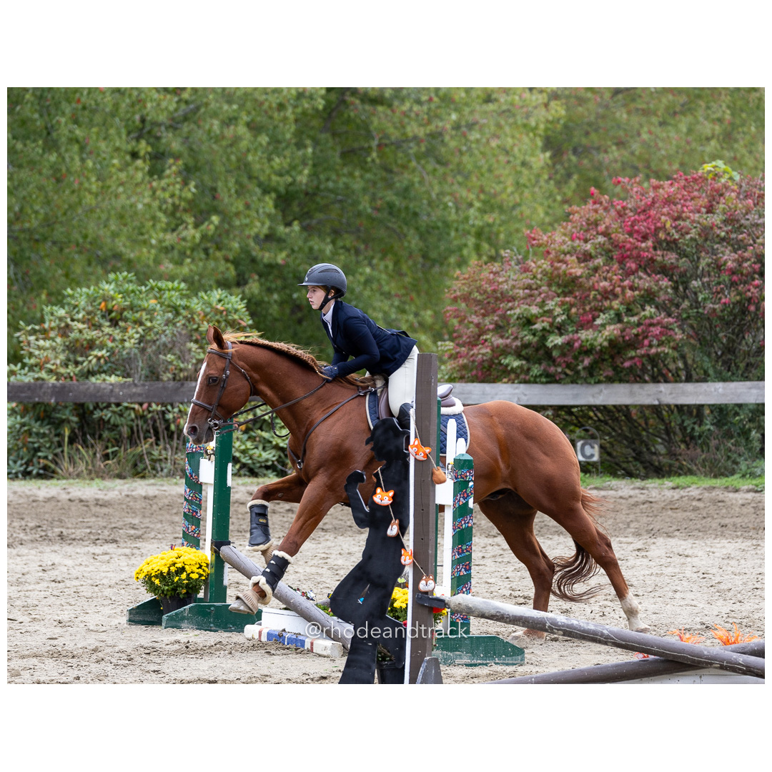Interscholastic Equestrian Association - Prospect Hill Farm - North Smithfield, RI - September 29, 2024 title=