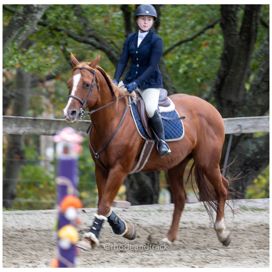 Interscholastic Equestrian Association - Prospect Hill Farm - North Smithfield, RI - September 29, 2024 title=