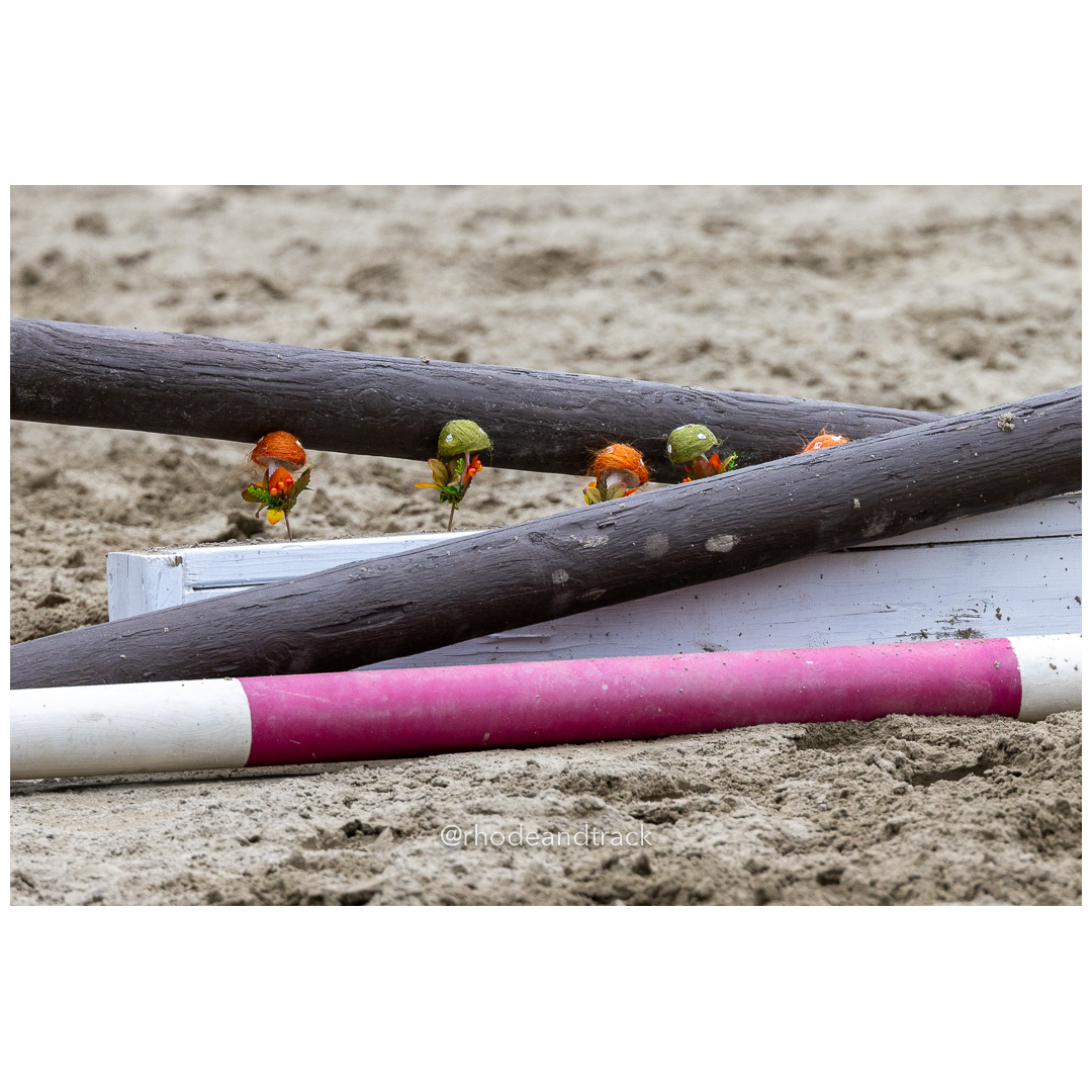 Interscholastic Equestrian Association - Prospect Hill Farm - North Smithfield, RI - September 29, 2024 title=