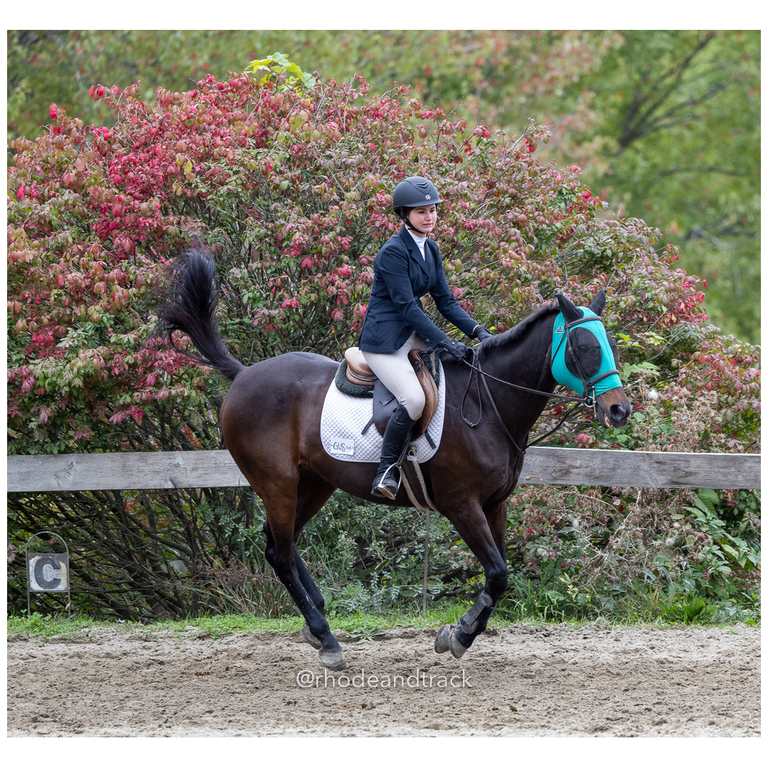 Interscholastic Equestrian Association - Prospect Hill Farm - North Smithfield, RI - September 29, 2024 title=