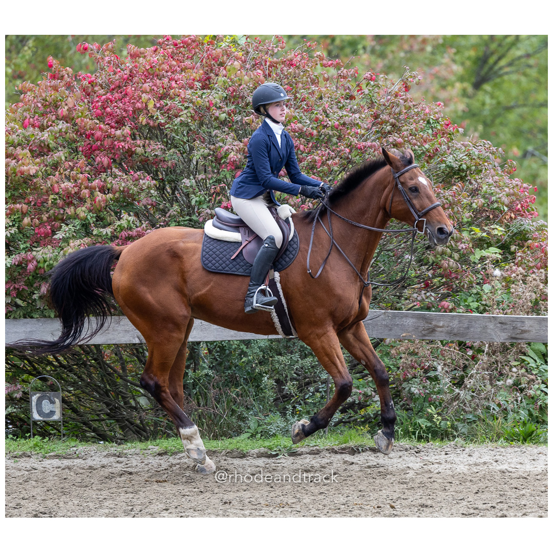 Interscholastic Equestrian Association - Prospect Hill Farm - North Smithfield, RI - September 29, 2024 title=