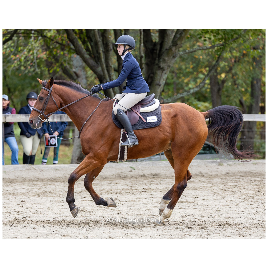 Interscholastic Equestrian Association - Prospect Hill Farm - North Smithfield, RI - September 29, 2024 title=