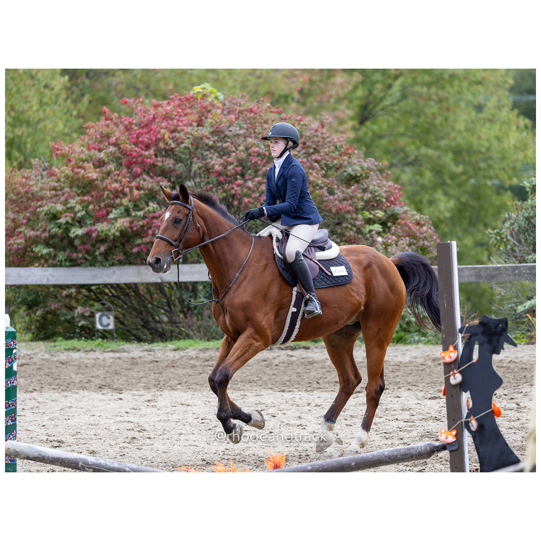 Interscholastic Equestrian Association - Prospect Hill Farm - North Smithfield, RI - September 29, 2024 title=