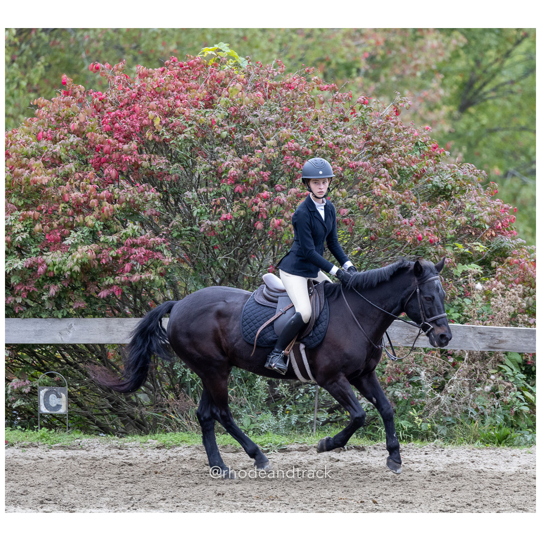 Interscholastic Equestrian Association - Prospect Hill Farm - North Smithfield, RI - September 29, 2024 title=