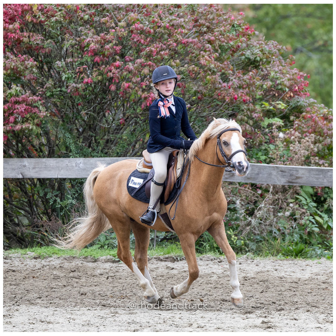 Interscholastic Equestrian Association - Prospect Hill Farm - North Smithfield, RI - September 29, 2024 title=