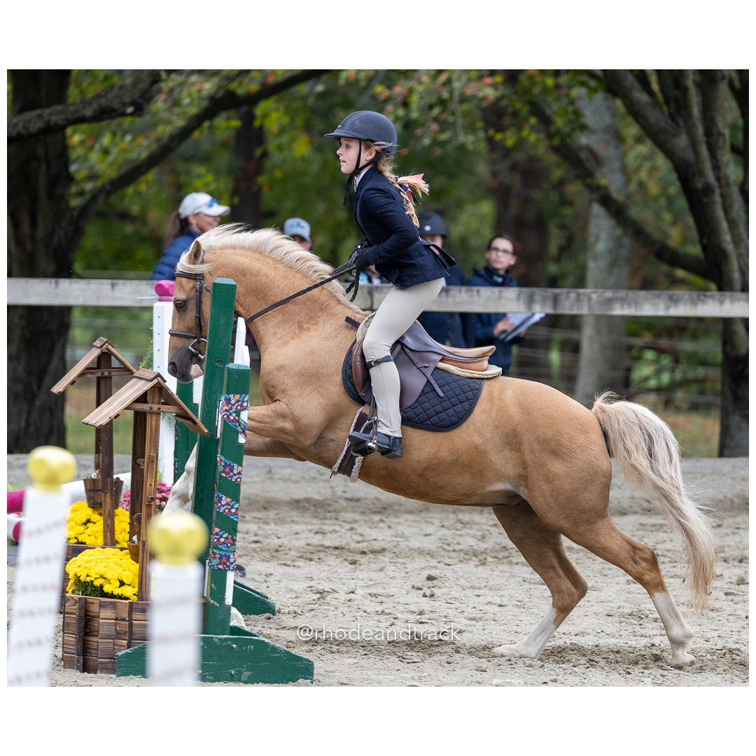 Interscholastic Equestrian Association - Prospect Hill Farm - North Smithfield, RI - September 29, 2024 title=