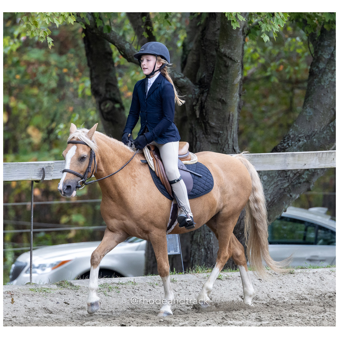 Interscholastic Equestrian Association - Prospect Hill Farm - North Smithfield, RI - September 29, 2024 title=
