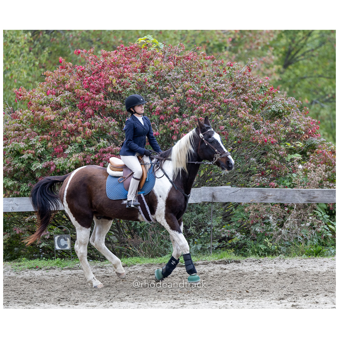 Interscholastic Equestrian Association - Prospect Hill Farm - North Smithfield, RI - September 29, 2024 title=