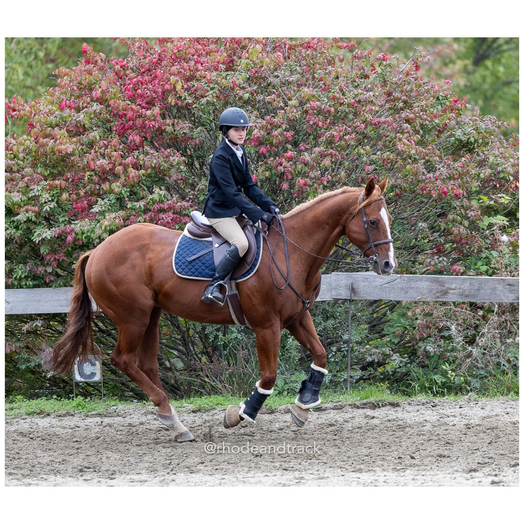 Interscholastic Equestrian Association - Prospect Hill Farm - North Smithfield, RI - September 29, 2024 title=