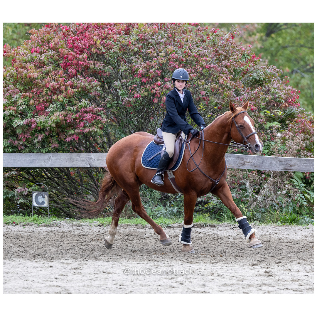 Interscholastic Equestrian Association - Prospect Hill Farm - North Smithfield, RI - September 29, 2024 title=