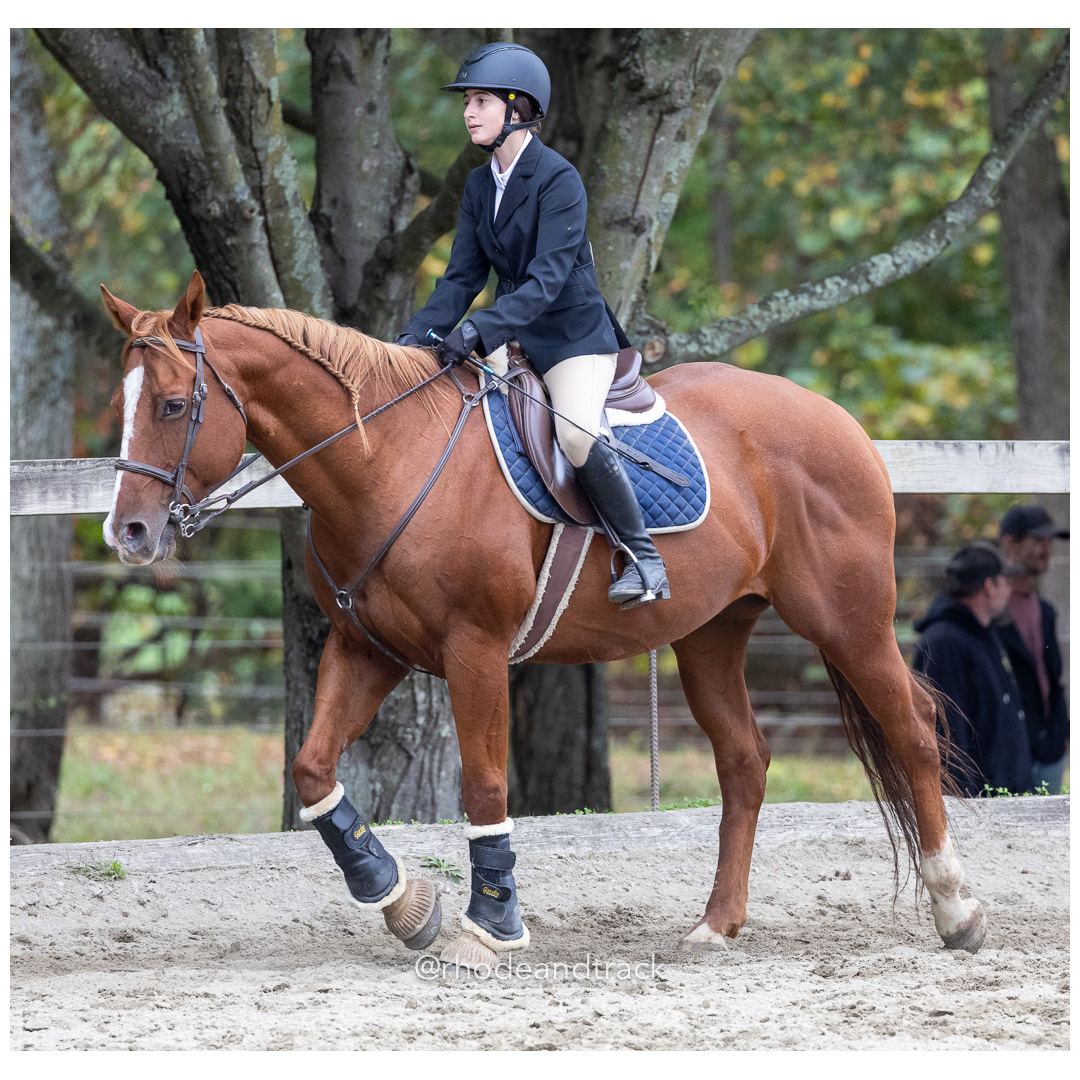 Interscholastic Equestrian Association - Prospect Hill Farm - North Smithfield, RI - September 29, 2024 title=