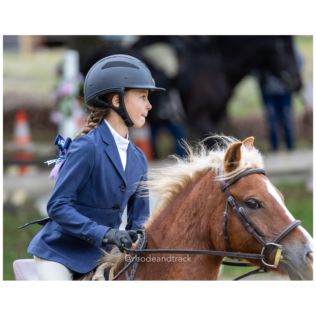 Interscholastic Equestrian Association - Prospect Hill Farm - North Smithfield, RI - September 29, 2024 title=