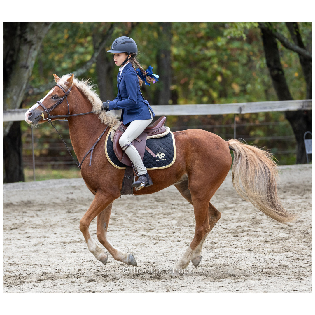 Interscholastic Equestrian Association - Prospect Hill Farm - North Smithfield, RI - September 29, 2024 title=