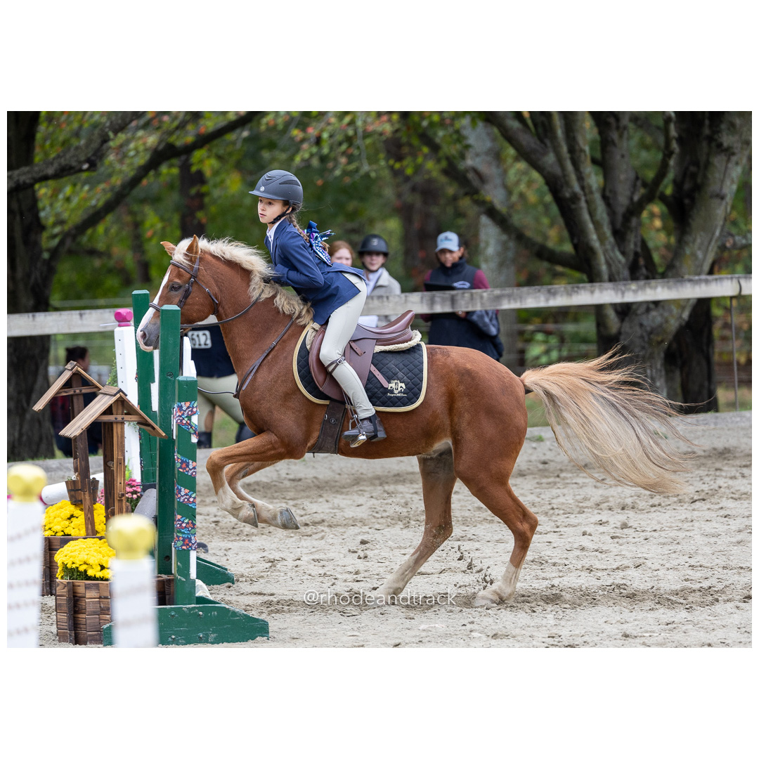 Interscholastic Equestrian Association - Prospect Hill Farm - North Smithfield, RI - September 29, 2024 title=