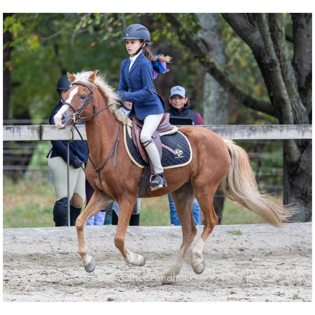 Interscholastic Equestrian Association - Prospect Hill Farm - North Smithfield, RI - September 29, 2024 title=