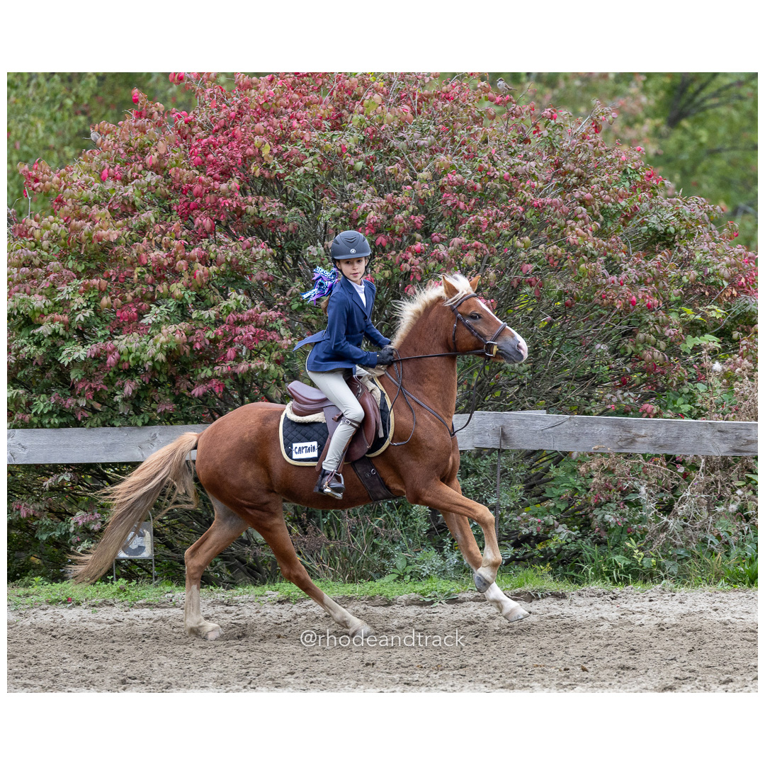 Interscholastic Equestrian Association - Prospect Hill Farm - North Smithfield, RI - September 29, 2024 title=