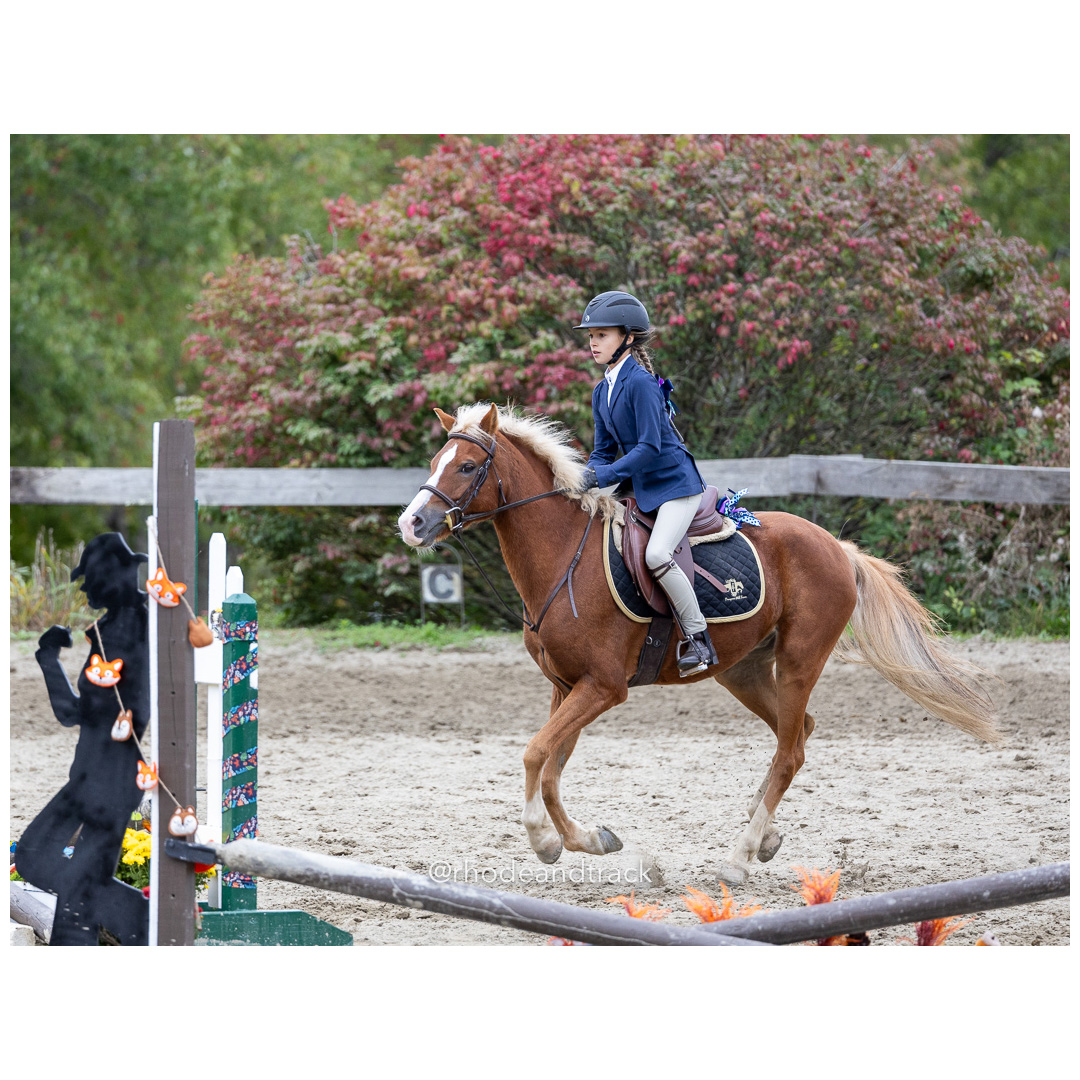 Interscholastic Equestrian Association - Prospect Hill Farm - North Smithfield, RI - September 29, 2024 title=