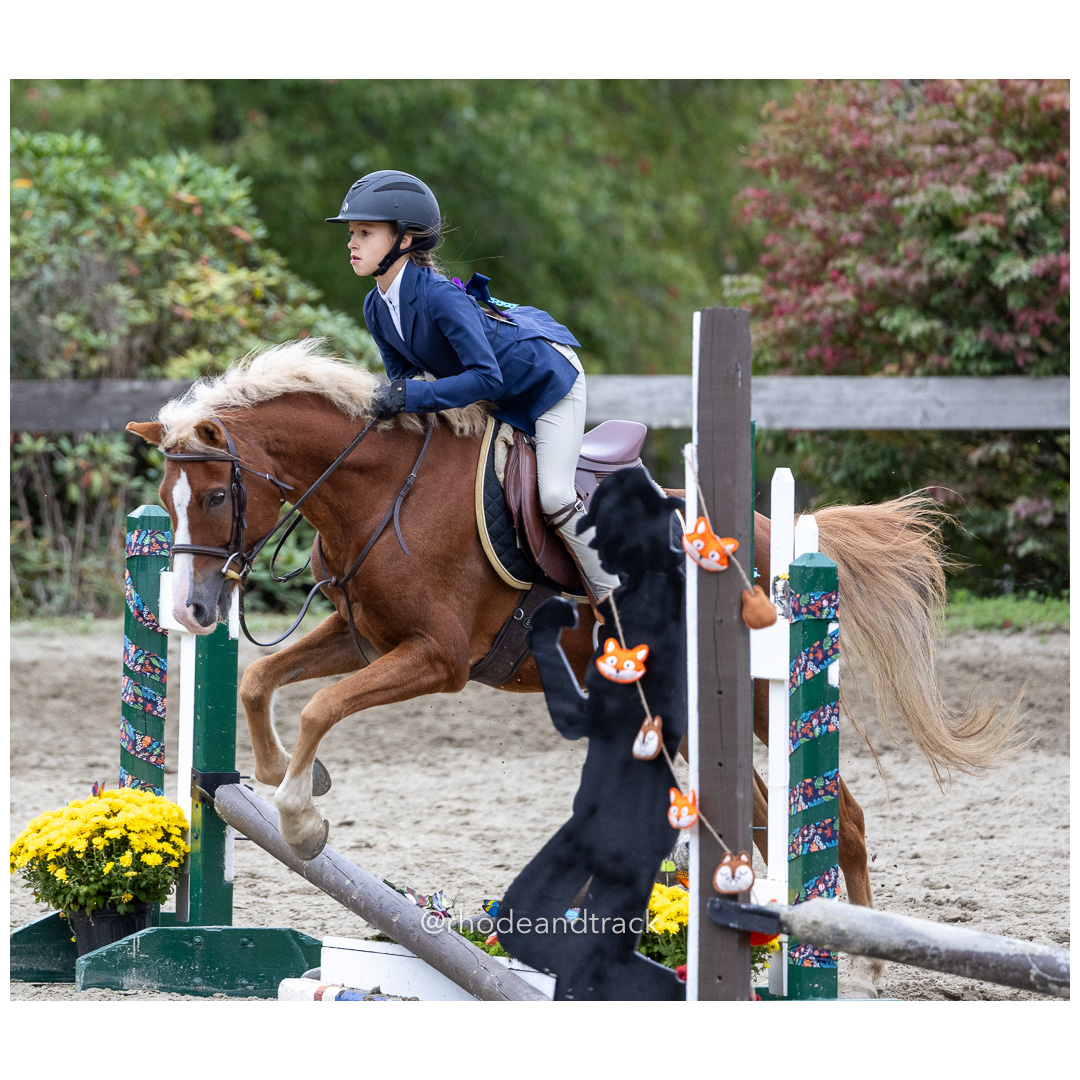Interscholastic Equestrian Association - Prospect Hill Farm - North Smithfield, RI - September 29, 2024 title=
