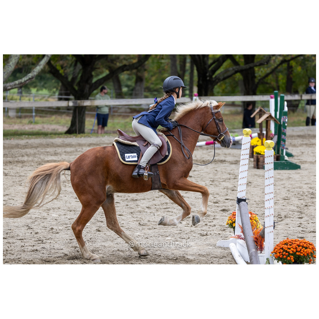 Interscholastic Equestrian Association - Prospect Hill Farm - North Smithfield, RI - September 29, 2024 title=