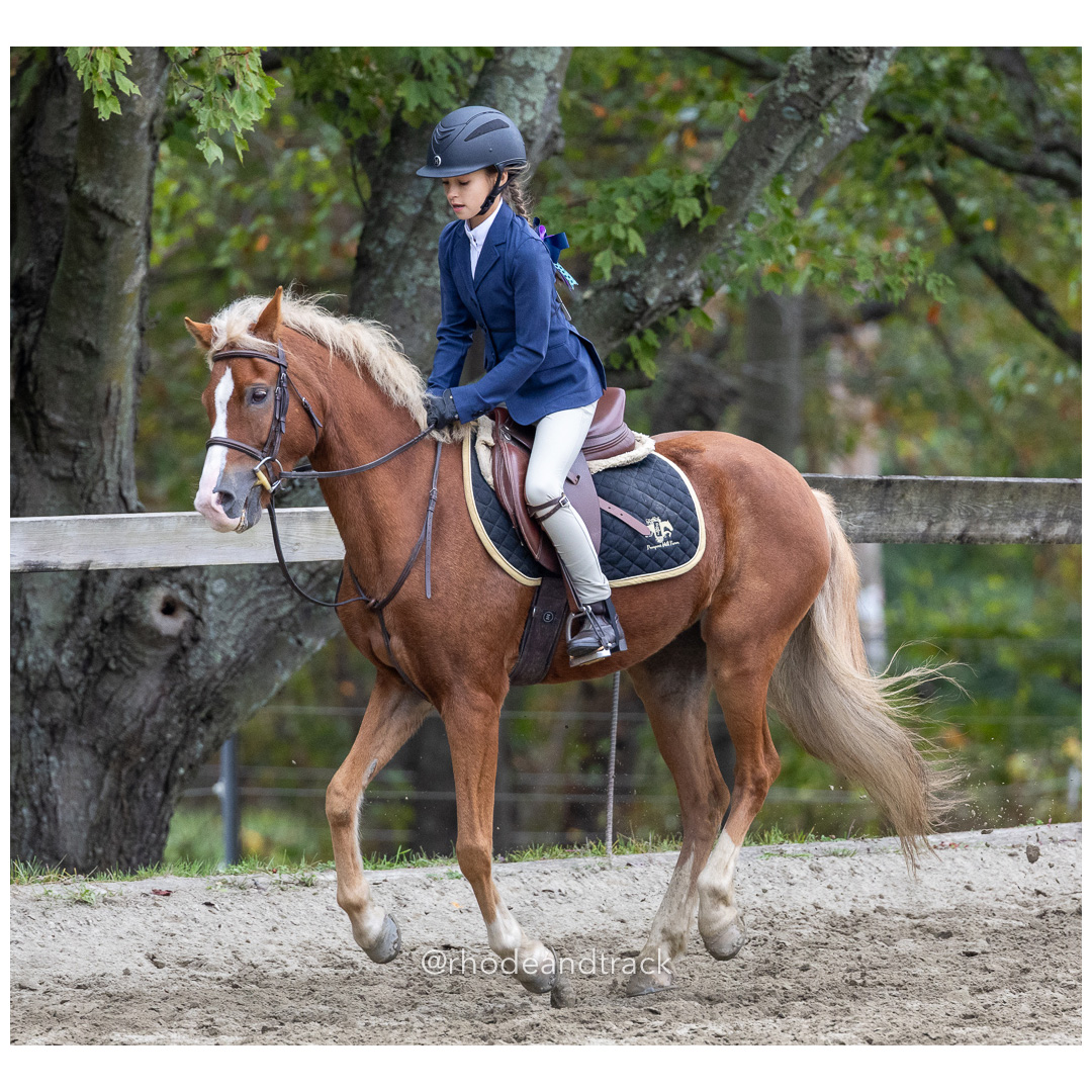 Interscholastic Equestrian Association - Prospect Hill Farm - North Smithfield, RI - September 29, 2024 title=