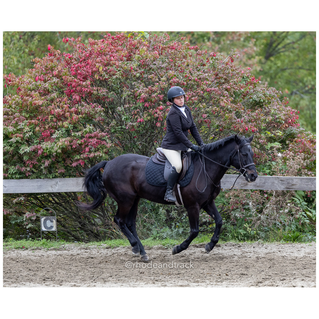Interscholastic Equestrian Association - Prospect Hill Farm - North Smithfield, RI - September 29, 2024 title=