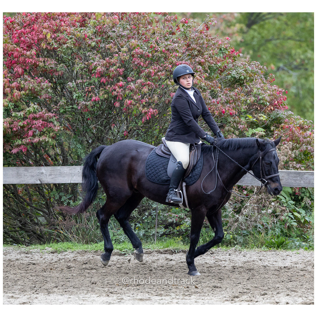 Interscholastic Equestrian Association - Prospect Hill Farm - North Smithfield, RI - September 29, 2024 title=