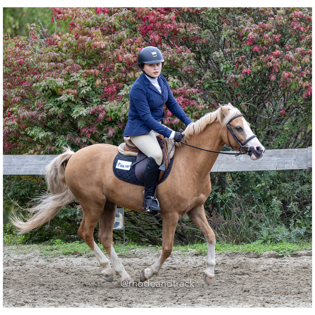 Interscholastic Equestrian Association - Prospect Hill Farm - North Smithfield, RI - September 29, 2024 title=