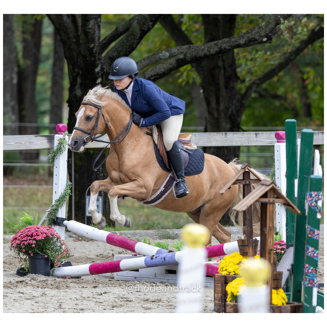 Interscholastic Equestrian Association - Prospect Hill Farm - North Smithfield, RI - September 29, 2024 title=