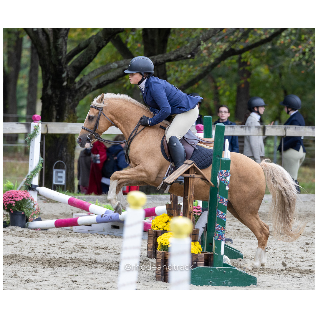Interscholastic Equestrian Association - Prospect Hill Farm - North Smithfield, RI - September 29, 2024 title=