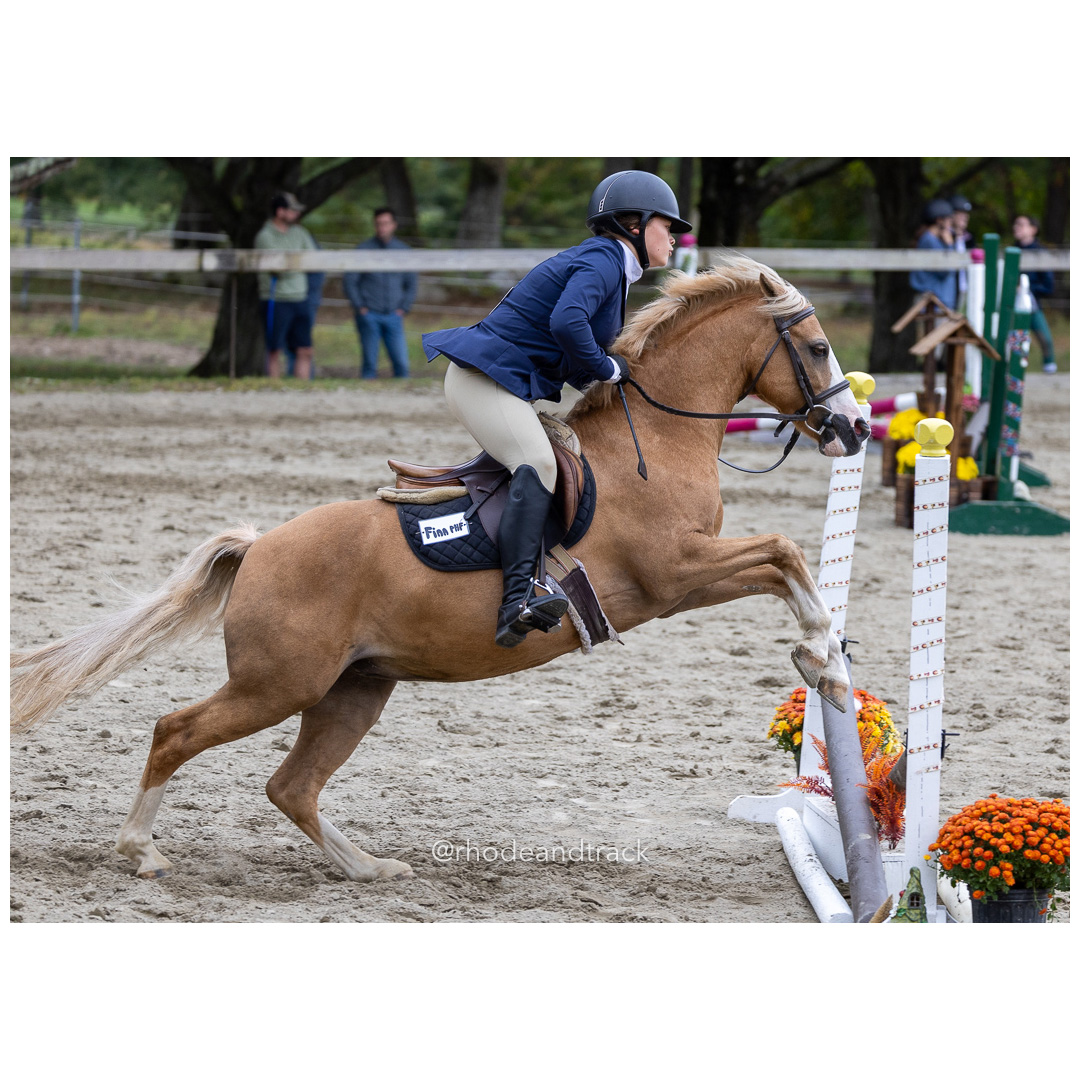 Interscholastic Equestrian Association - Prospect Hill Farm - North Smithfield, RI - September 29, 2024 title=