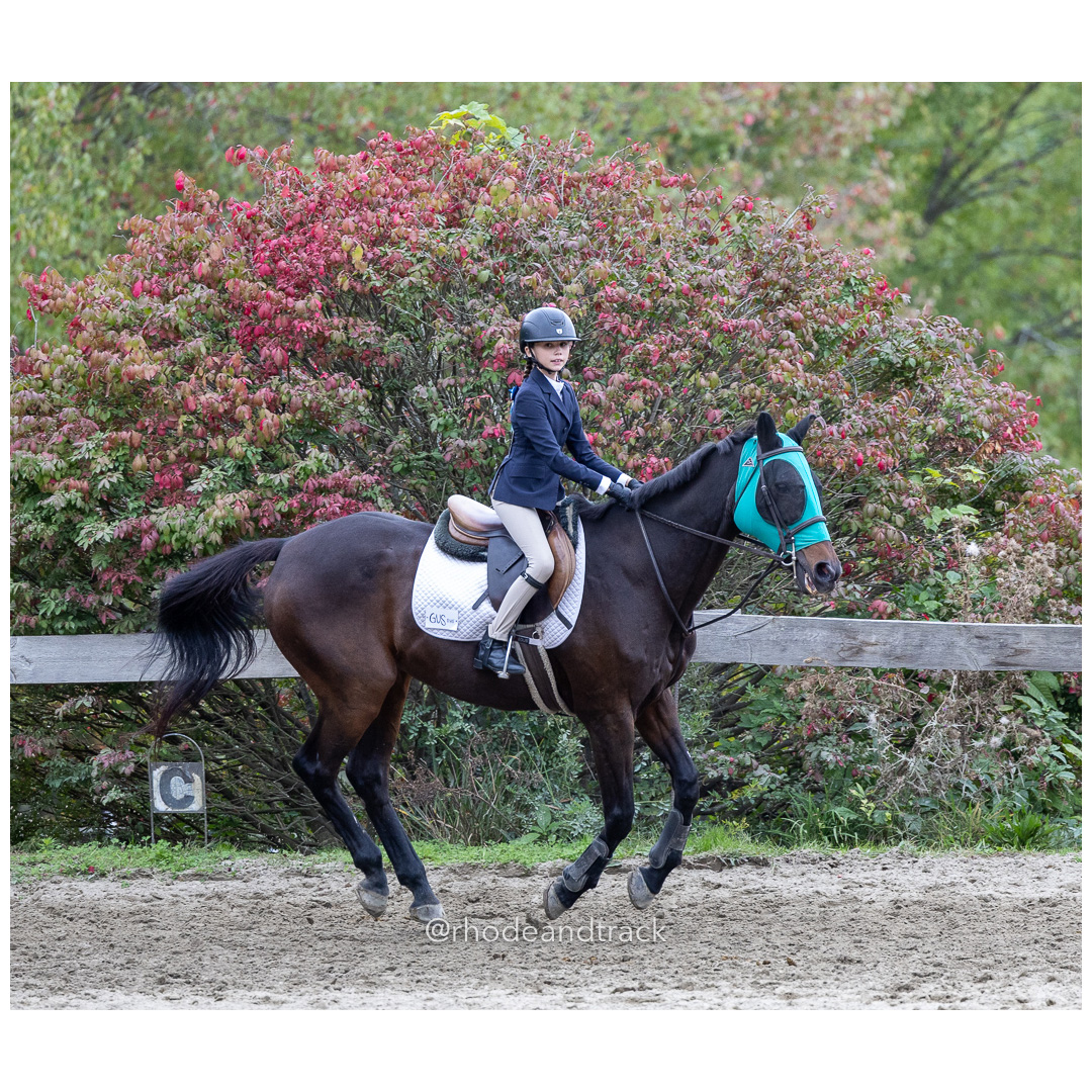 Interscholastic Equestrian Association - Prospect Hill Farm - North Smithfield, RI - September 29, 2024 title=