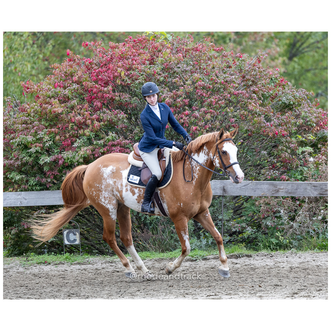 Interscholastic Equestrian Association - Prospect Hill Farm - North Smithfield, RI - September 29, 2024 title=