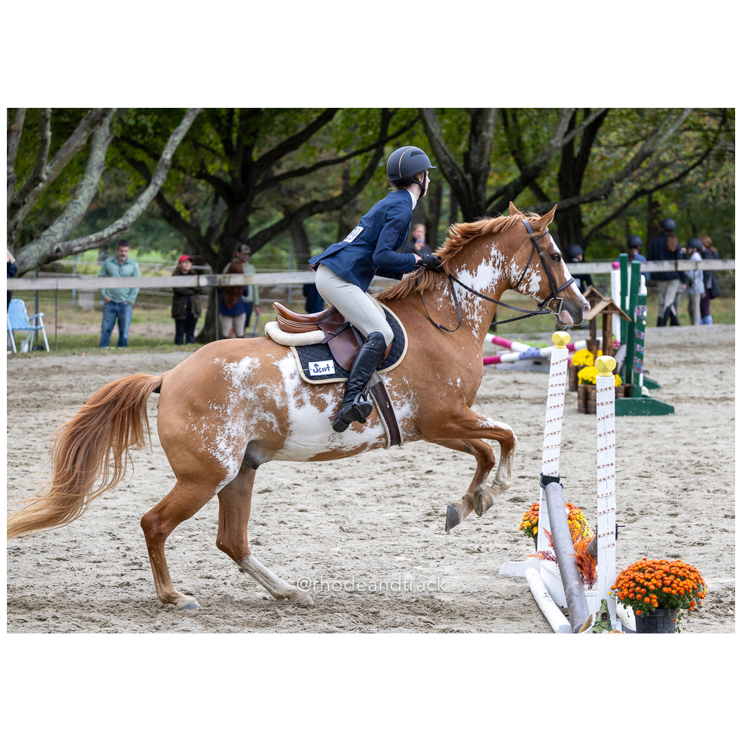 Interscholastic Equestrian Association - Prospect Hill Farm - North Smithfield, RI - September 29, 2024 title=