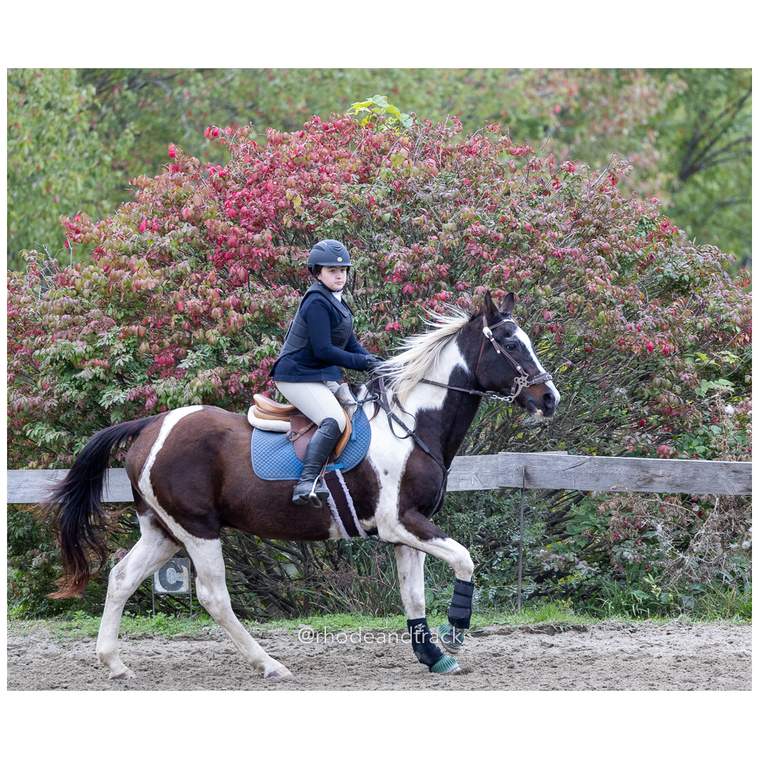 Interscholastic Equestrian Association - Prospect Hill Farm - North Smithfield, RI - September 29, 2024 title=