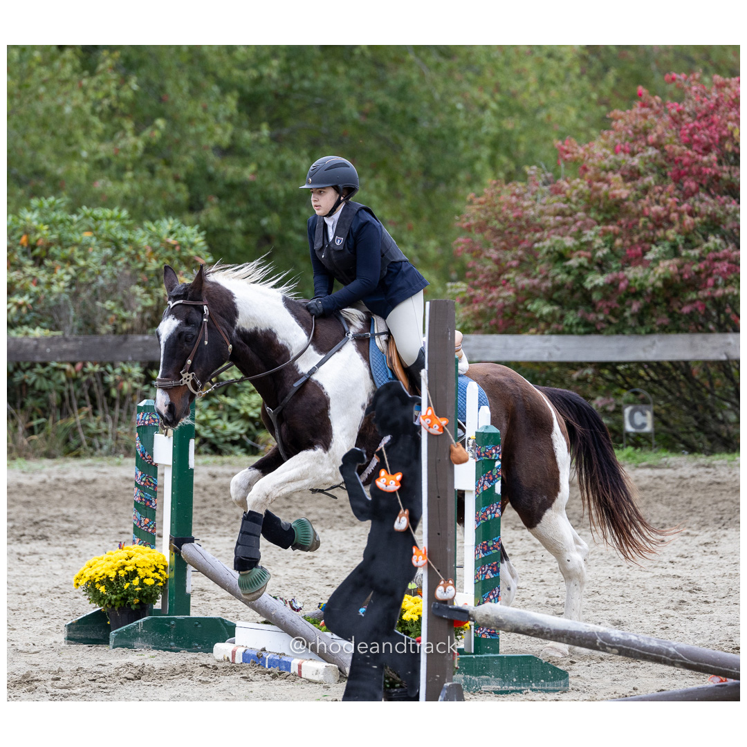 Interscholastic Equestrian Association - Prospect Hill Farm - North Smithfield, RI - September 29, 2024 title=