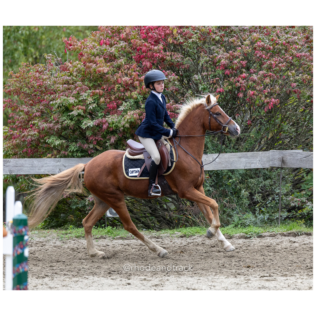 Interscholastic Equestrian Association - Prospect Hill Farm - North Smithfield, RI - September 29, 2024 title=